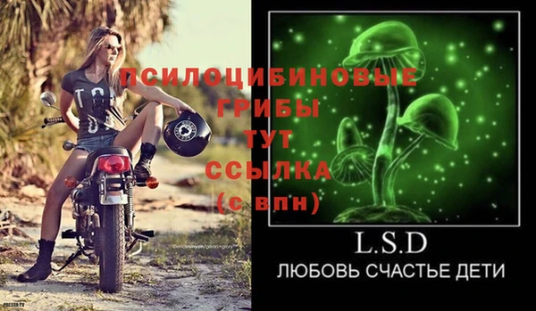 прущие грибы Богородицк