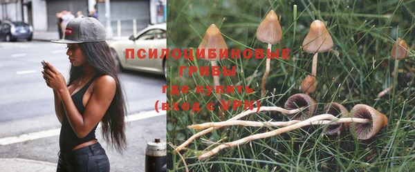 2c-b Белоозёрский