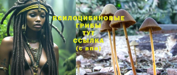 ПСИЛОЦИБИНОВЫЕ ГРИБЫ Беломорск