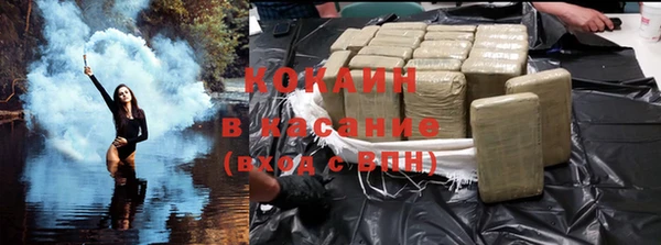прущие грибы Богородицк